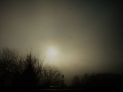 22nd Nov 2018 - A very dark, frosty and foggy morning 