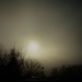 A very dark, frosty and foggy morning  by beryl
