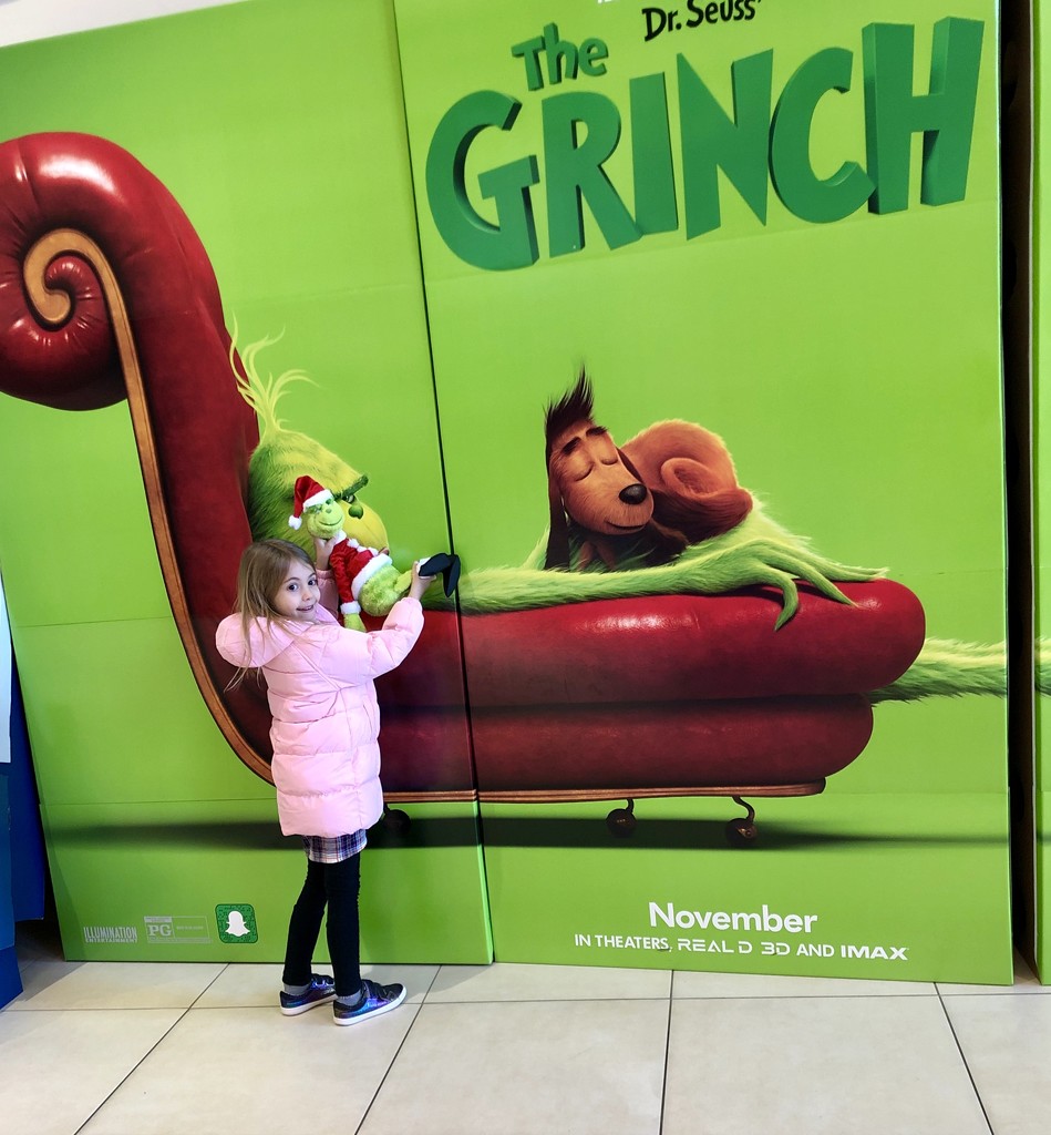 Grinch meet Grinch  by mdoelger