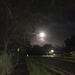 Full Moon by wilkinscd