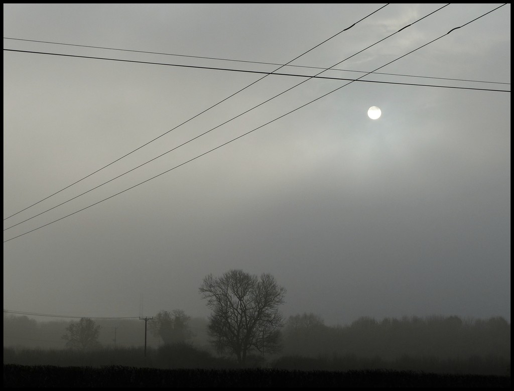 misty afternoon by jokristina
