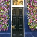 A rather splendid front door!  by happypat