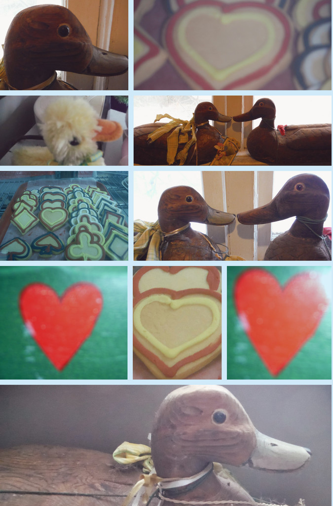 Collage-duck-heart by spanishliz