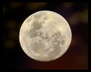 24th Nov 2018 - Soon to be full Moon