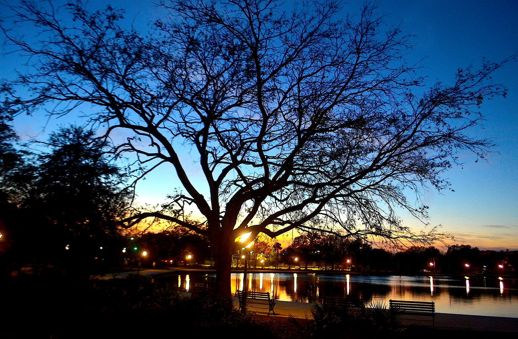 Colonial Lake at sunset, Charleston, South Carolina by congaree