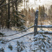 Snow and Gate by radiogirl