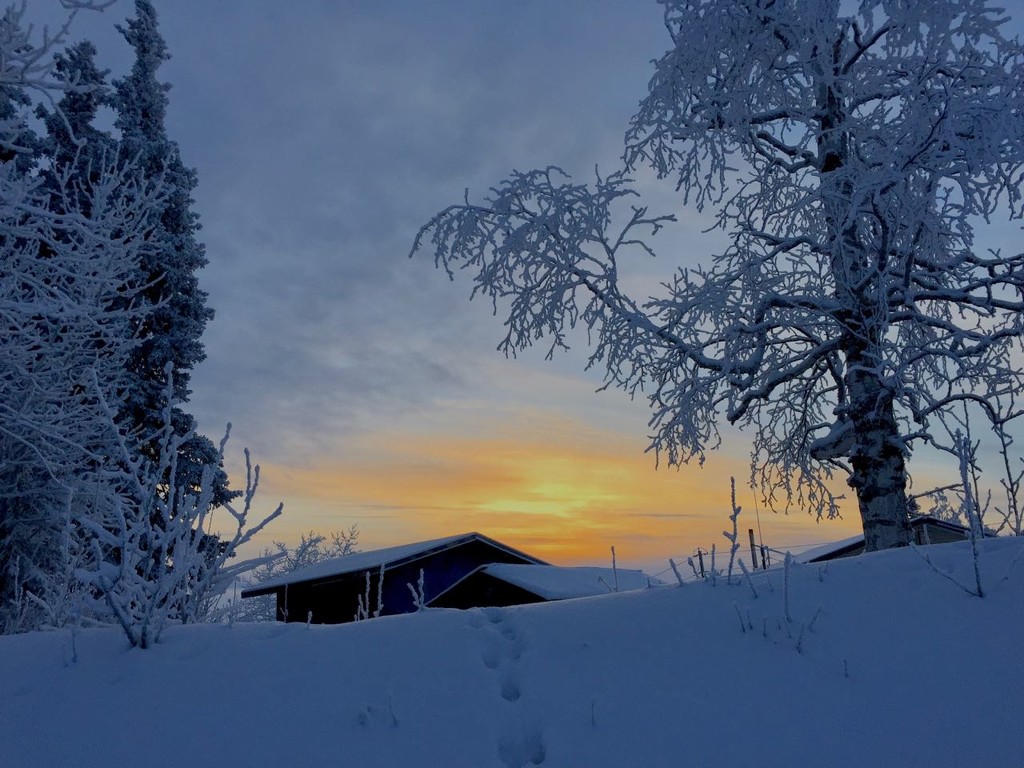 Arctic Sunrise by jetr