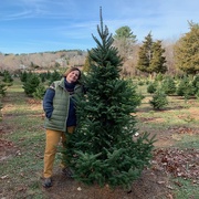 24th Nov 2018 - Christmas tree shopping