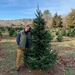 Christmas tree shopping by berelaxed