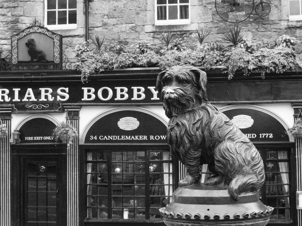 Greyfriars Bobby by jamibann