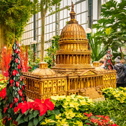 25th Nov 2018 - US Botanic Garden