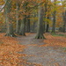 Amersfoort Autumn by gaf005