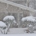 Serious Snowfall by lynnz