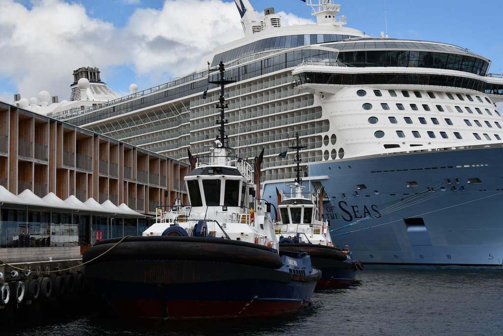 'Ovation of the Seas' comes to Town by kgolab