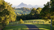 24th Nov 2018 - Glasshouse Mountains from Reesville