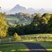 Glasshouse Mountains from Reesville by jeneurell