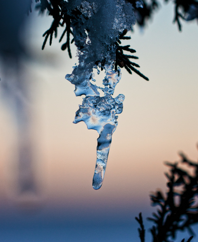 blue hour icicle by aecasey