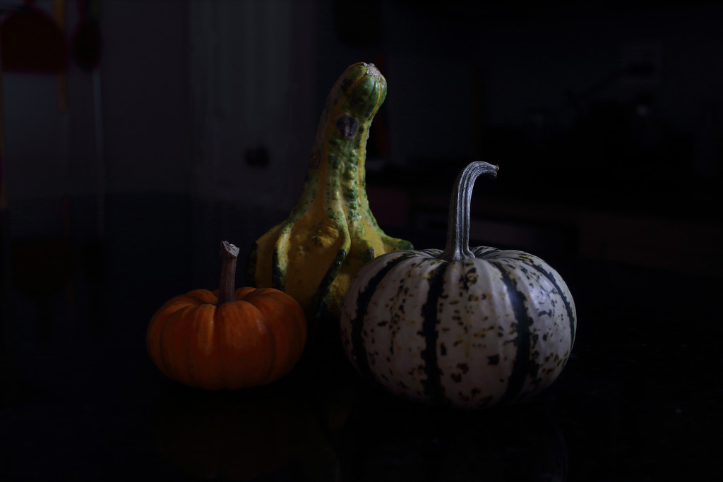Gourds by tdaug80