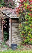 20th Nov 2018 - Fall Shed