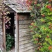 Fall Shed by kimmer50