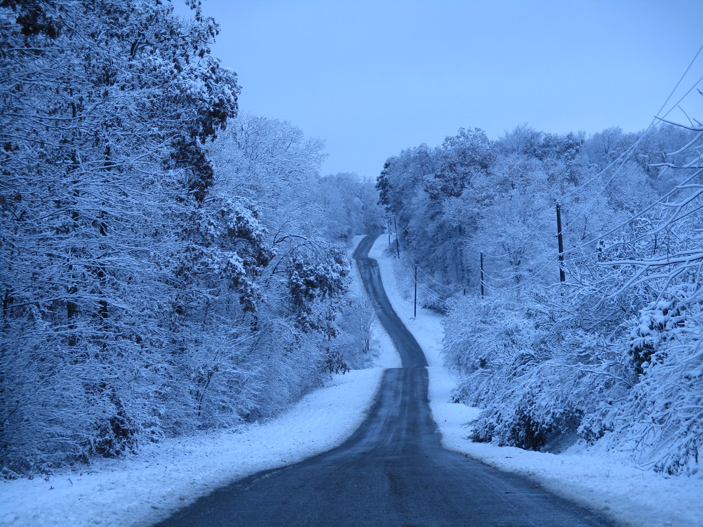 Snowy Road by julie