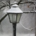 November 26: Snow by daisymiller