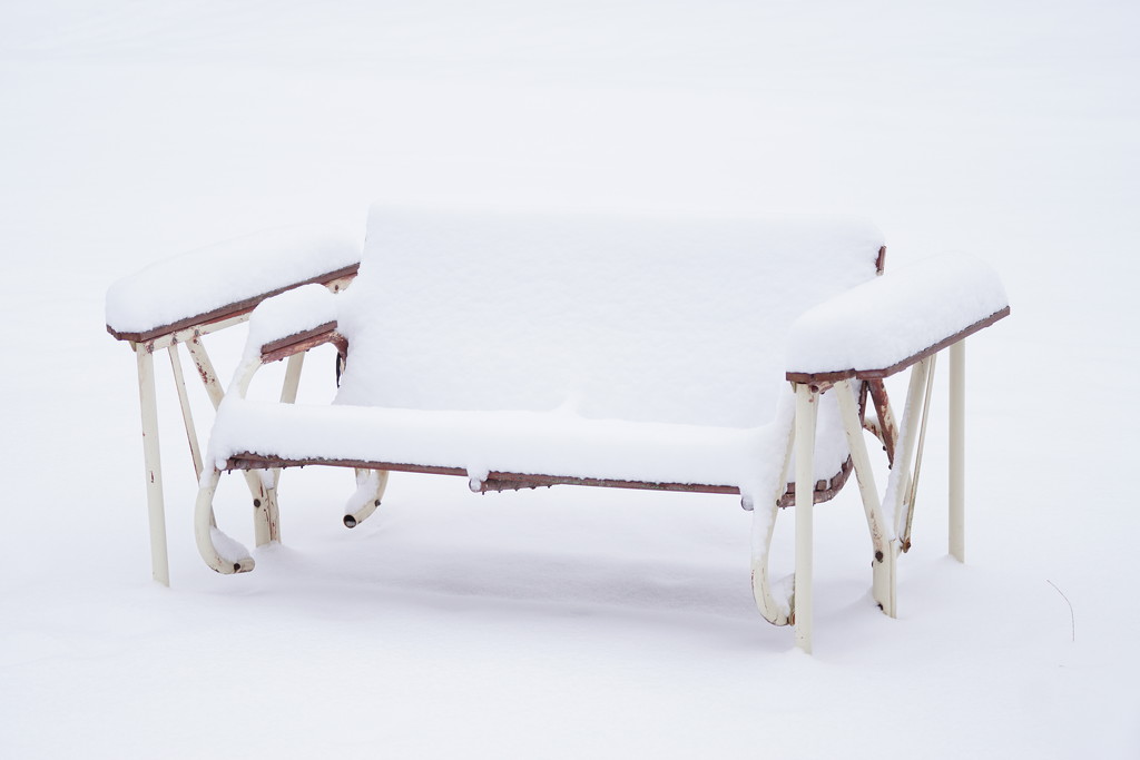 bench in white by amyk