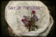 13th Nov 2018 - Day of the Dead