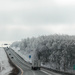 Icy trees on the highway by mittens