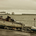 Safe Harbour  by fbailey