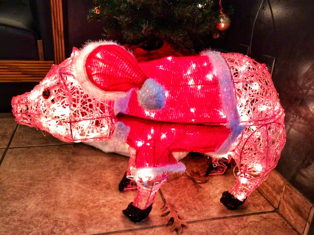 The Pig is dressed for Christmas.  by louannwarren