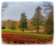 29th Nov 2018 - Late Autumn In The Park