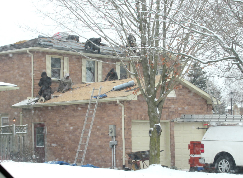 Roof shingling - in extreme weather condition by bruni