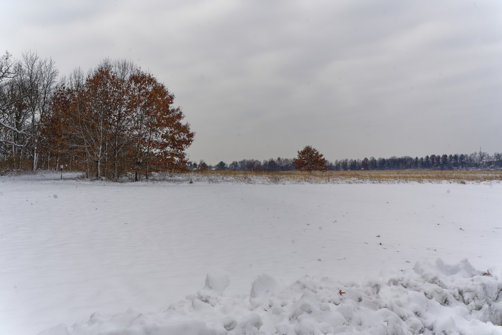 snow horizon by rminer