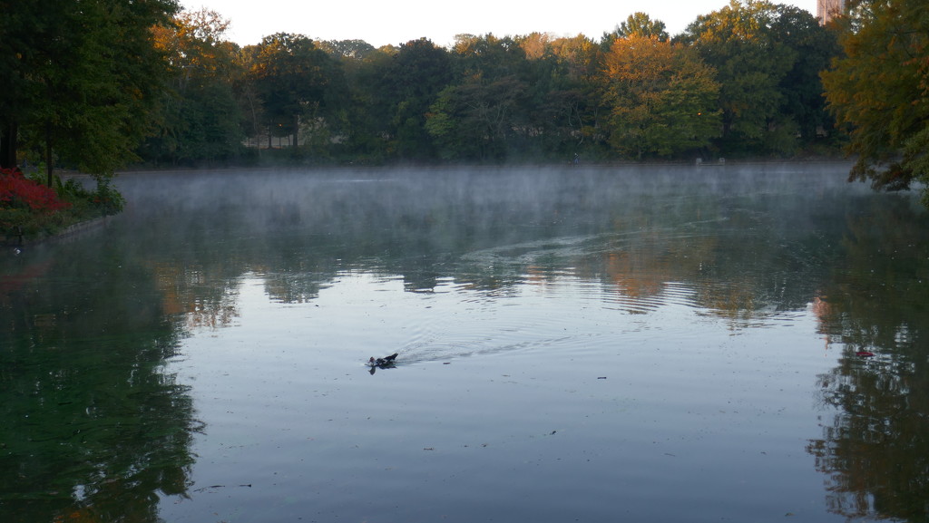 Piedmont Park, Atlanta by swagman