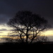 Staffordshire Sunset by gaf005