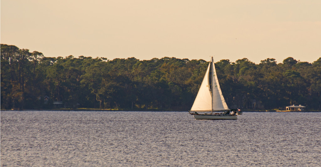 Sailboat on the River! by rickster549
