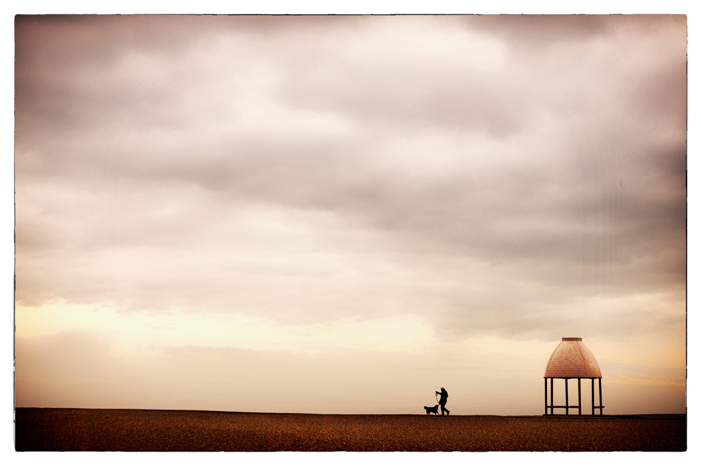 The Dog Walker by fbailey