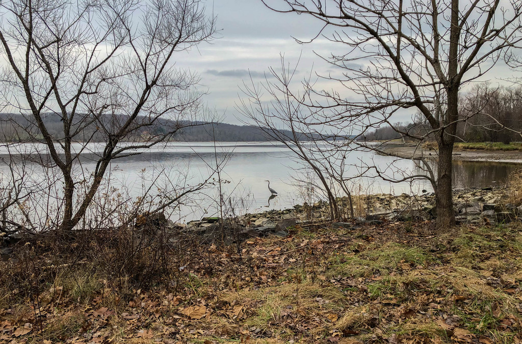 Walk at the Lake by loweygrace
