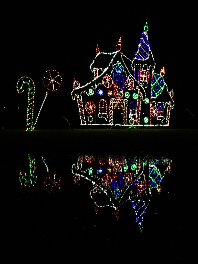 Holiday Lights by vera365