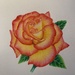 Double headed rose by pesus