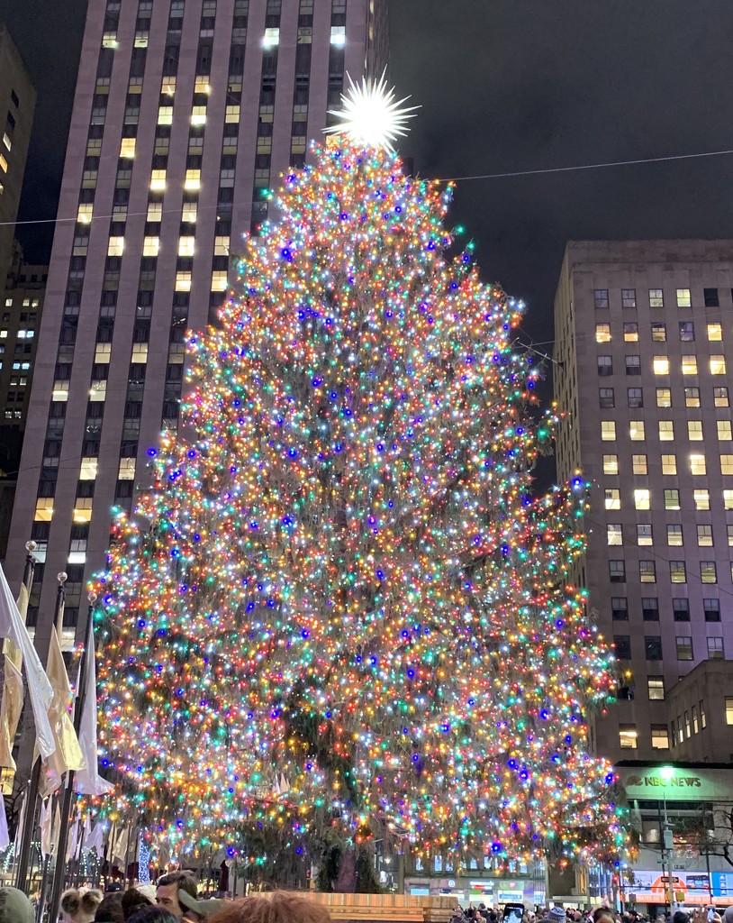 NY Christmas Tree by tinley23