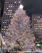 29th Nov 2018 - NY Christmas Tree