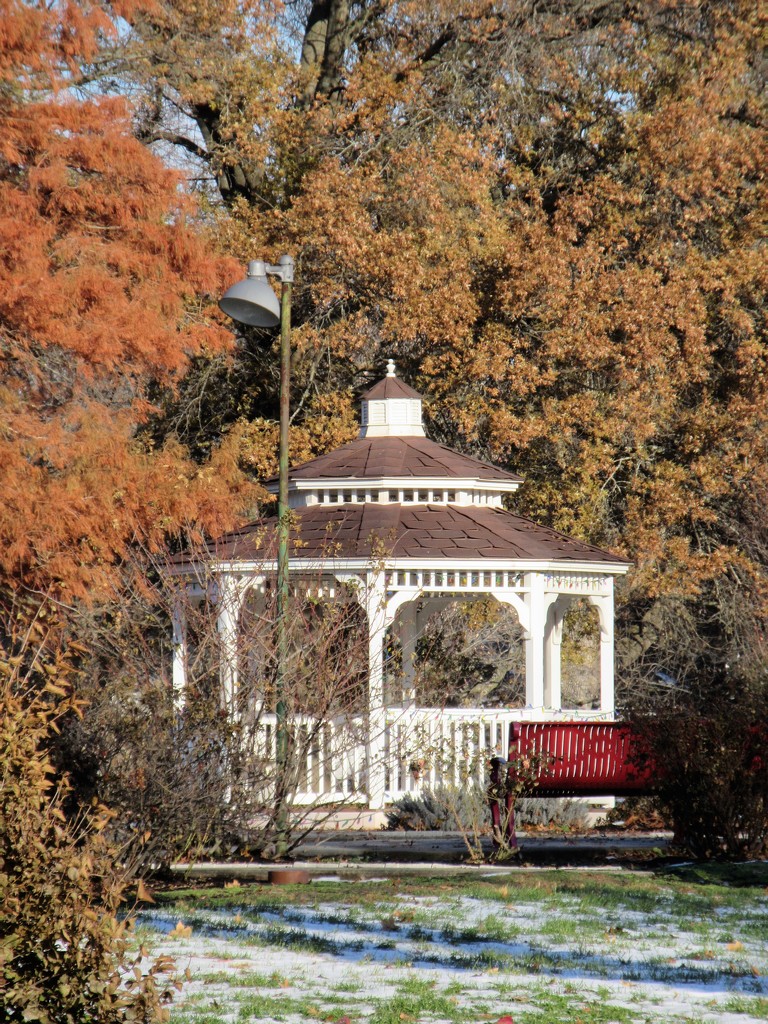 November 30: Gazebo in the Park by daisymiller
