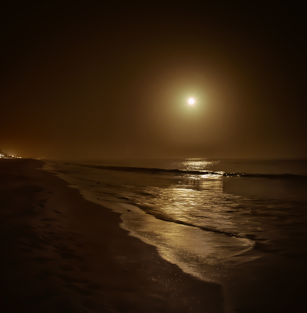 moonlit night over the Indian Ocean by jerome