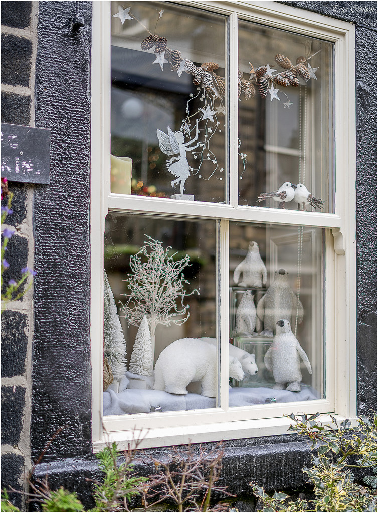 Window Decorations by pcoulson