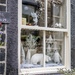 Window Decorations by pcoulson