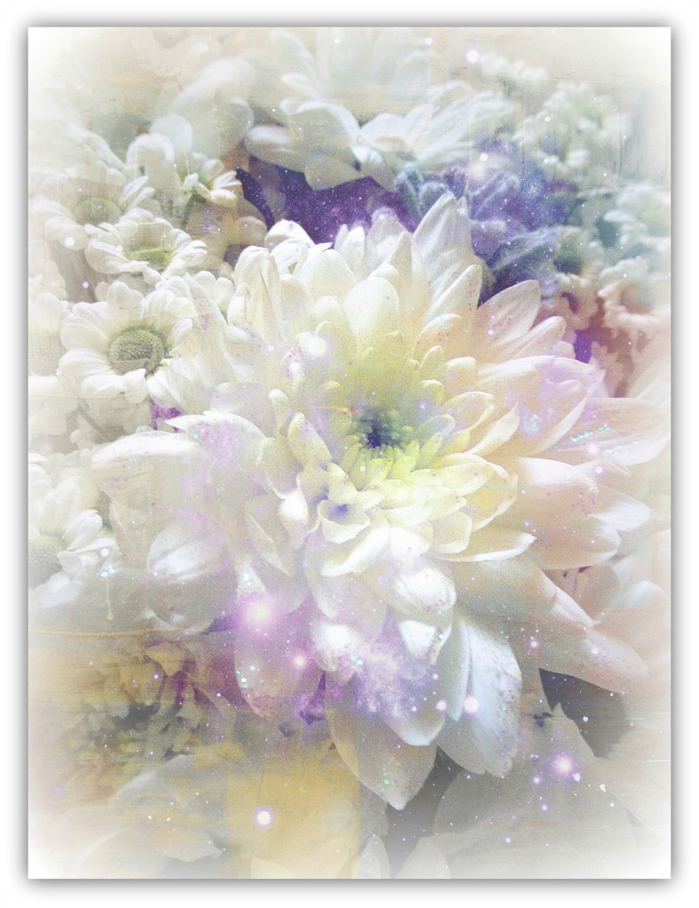 A bouquet of white flowers  by beryl