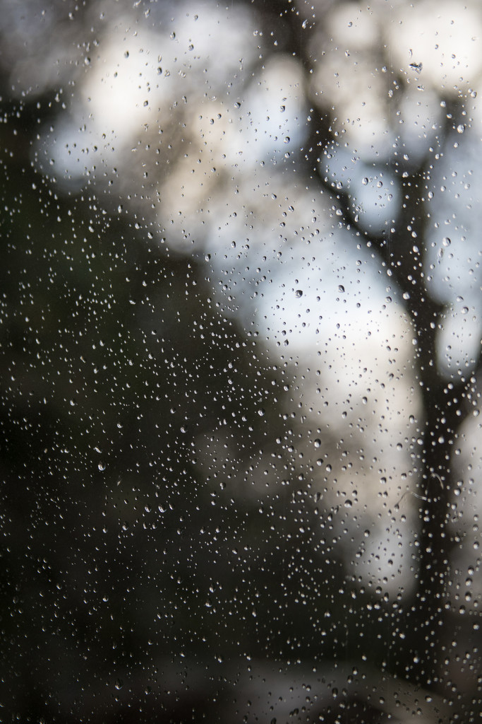 184 Rainy days by angelar