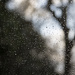 184 Rainy days by angelar